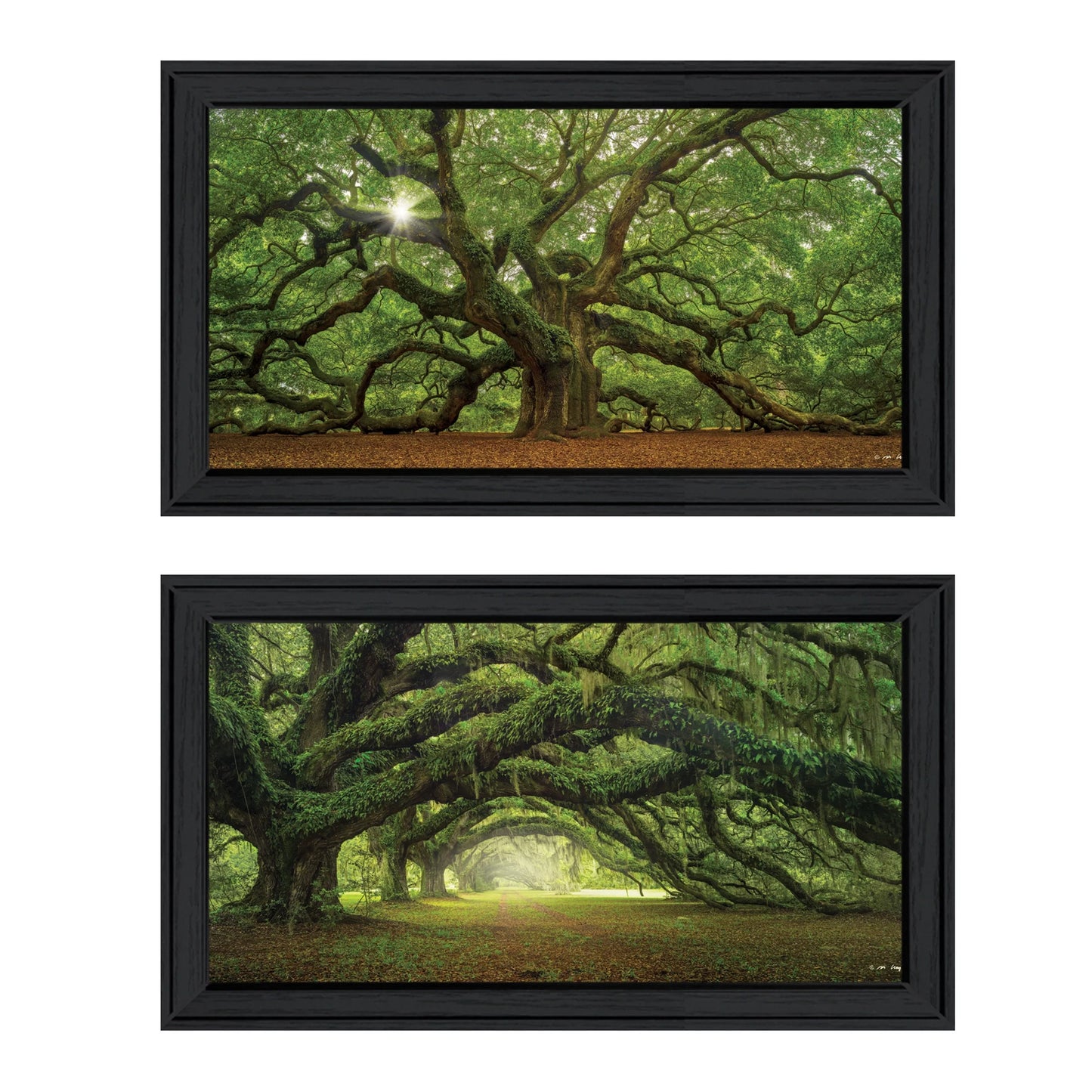 "tree arbors" 2-piece vignette by moises levy, black frame