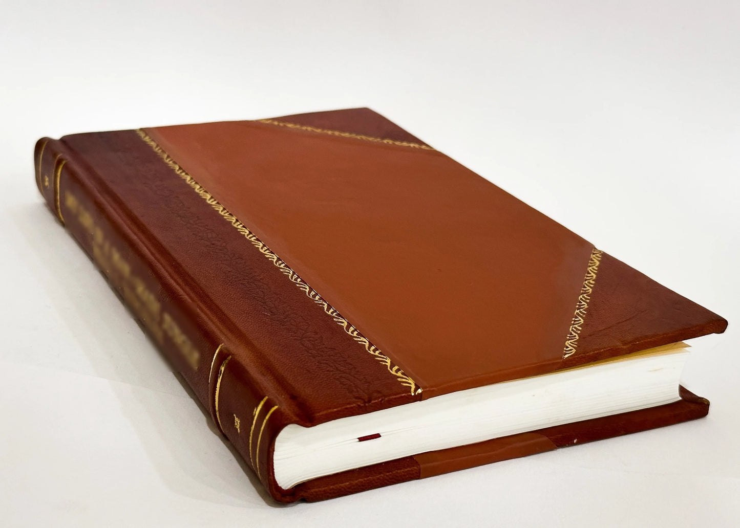 Storia della costituzione inglese pel edoardo fischel / 1869 edition (1869) [leather bound]