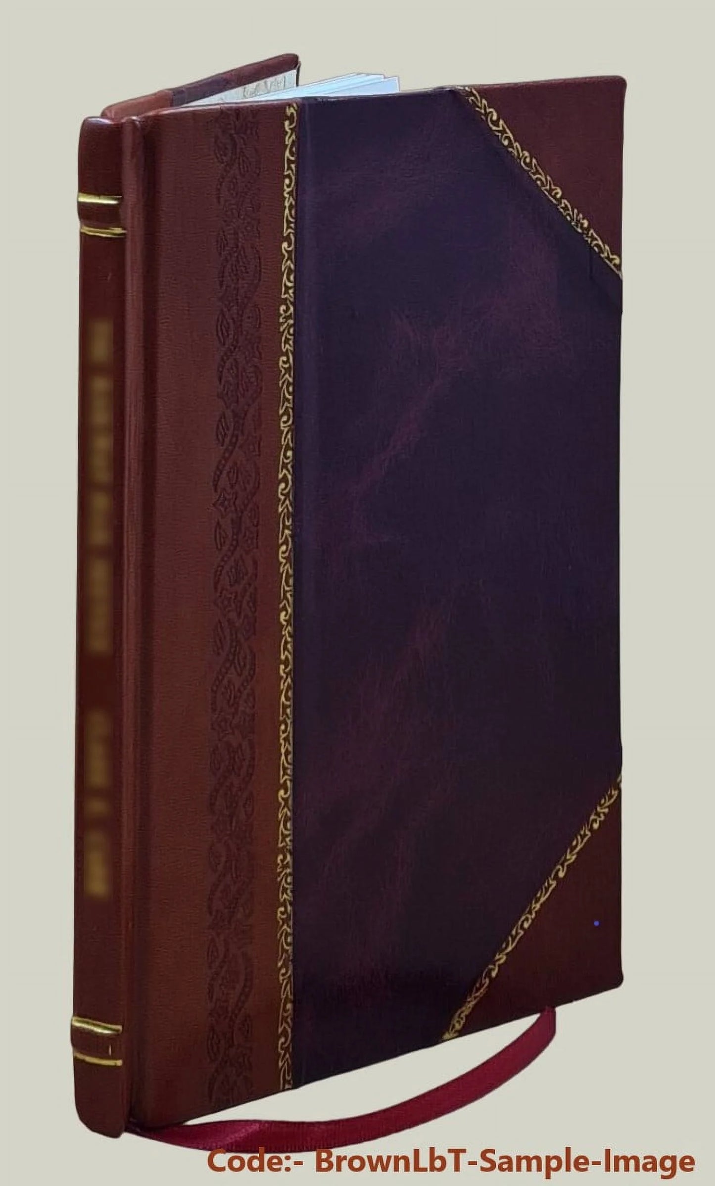 The soldier bird. "old abe": the live war eagle of wisconsin, that served a three years' campaign in the great rebellion. by j. o. barrett. 1876 [leather bound]