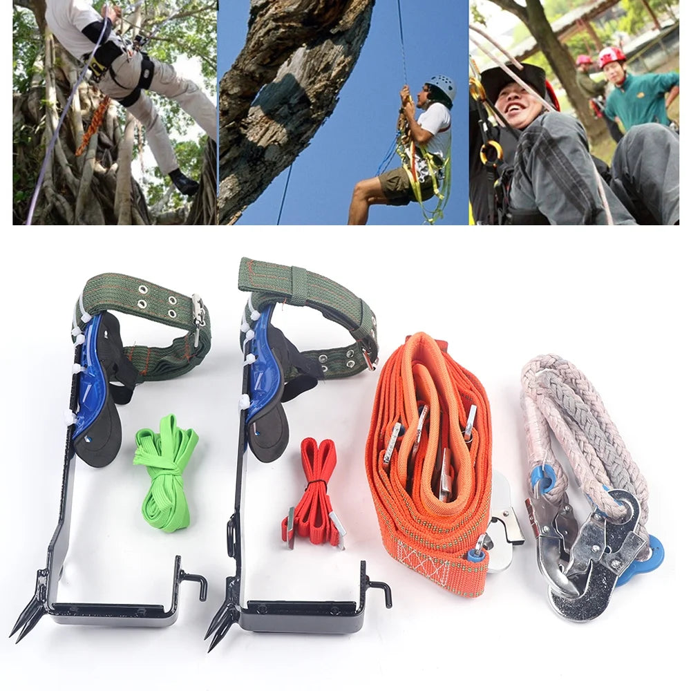 Tree climbing spikes set 2 gears with adjustable safety harness belt straps, tree pole climbing shoes tool for picking fruit, hunting observation, indoor climbing and sports