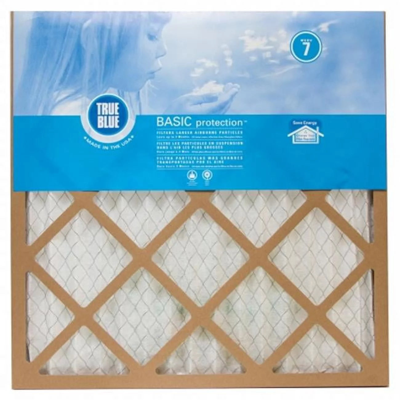 True blue basic protection furnace filter