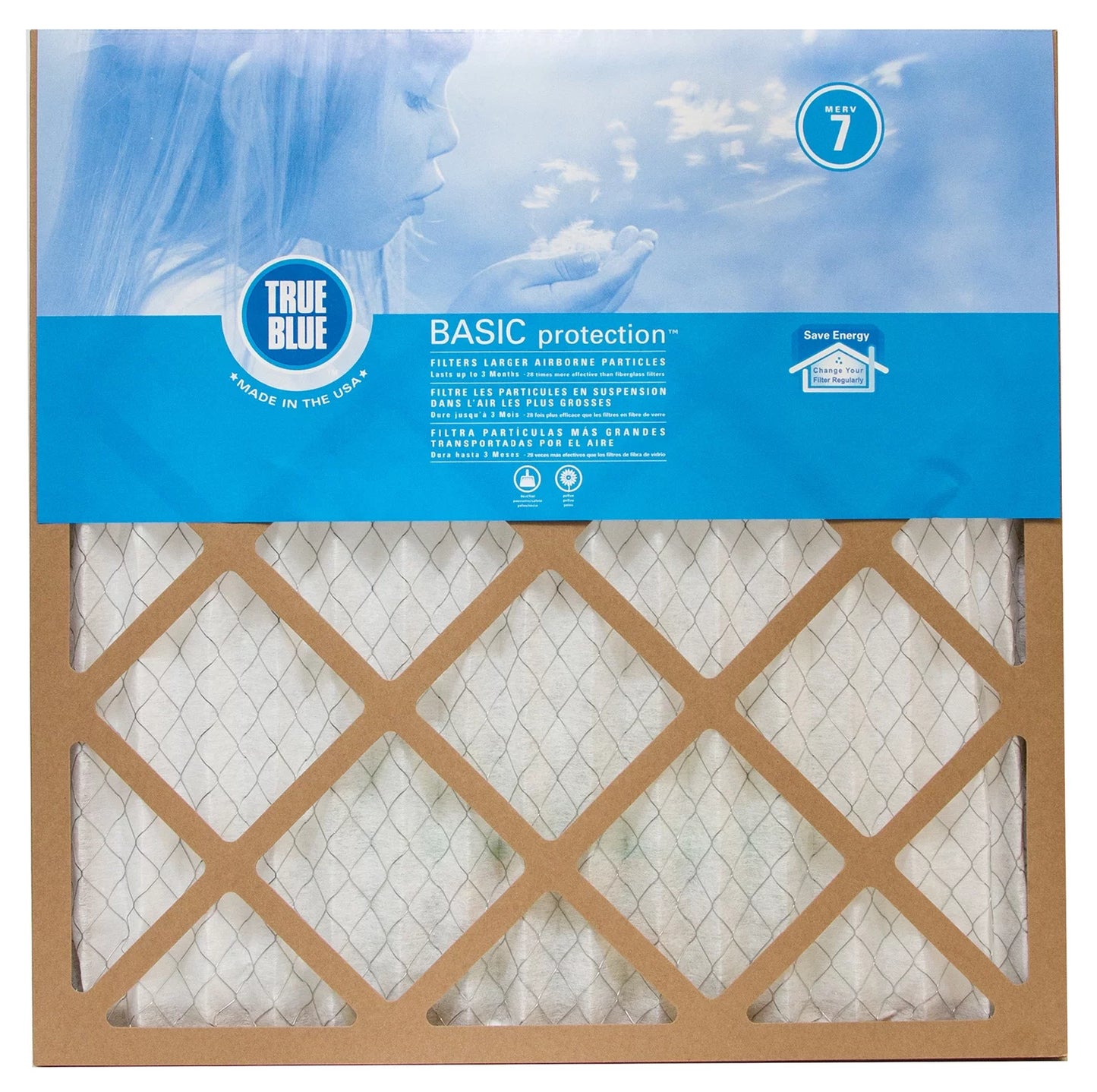 True blue basic protection furnace filter