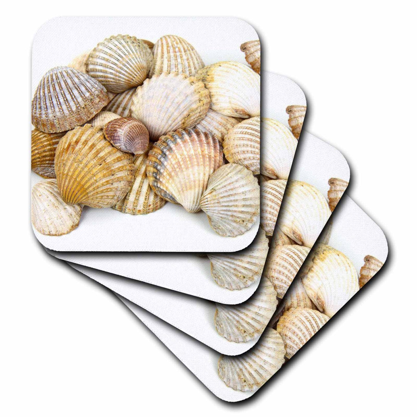 3drose sea shells by the sea shore - summer - beach theme - soft coasters, set of 8